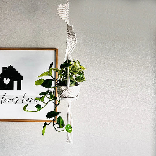 Macrame Hanging Plant Holder