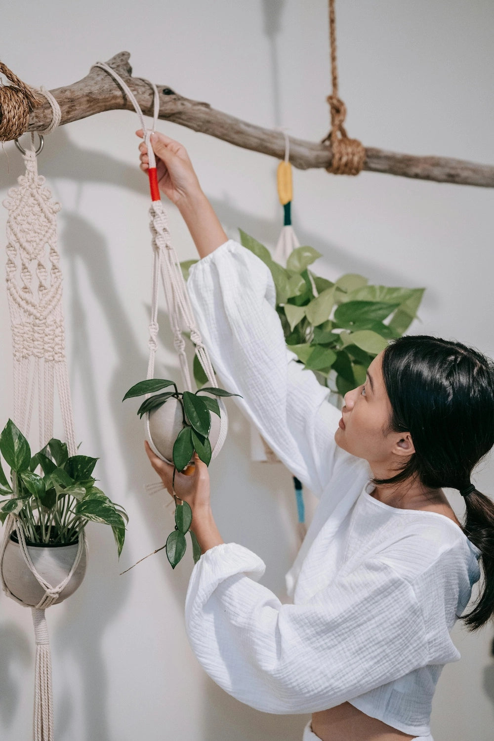 Macrame Creations