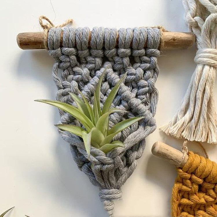 Small Macrame Plant Hanger