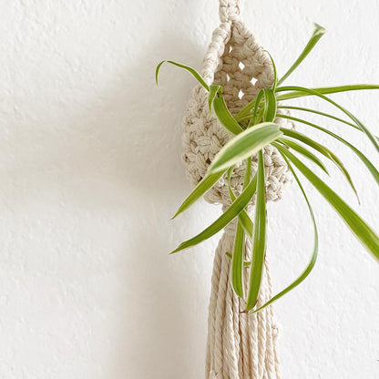 Crochet Macrame Plant Hanger