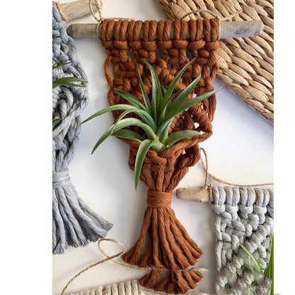 Short Macrame Plant Hanger