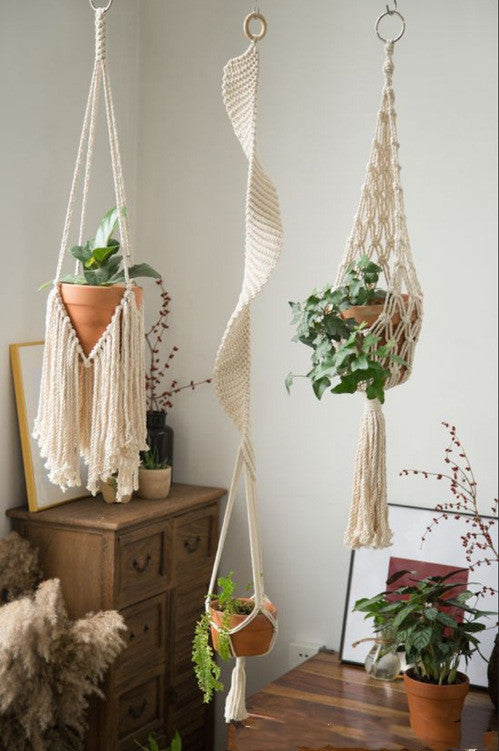 Macrame Air Plant Hanger