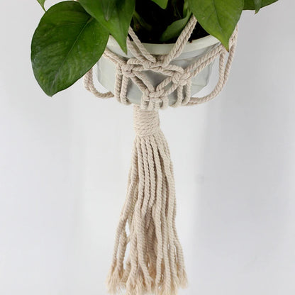 Hanging Macrame Plant