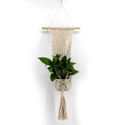 Hanging Macrame Plant