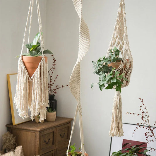 Macrame Air Plant Hanger