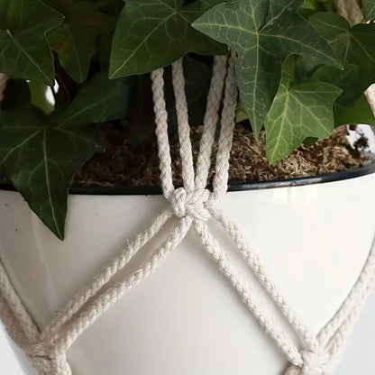 Macrame Wall Hanging Planter