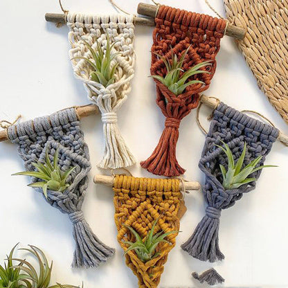 Short Macrame Plant Hanger