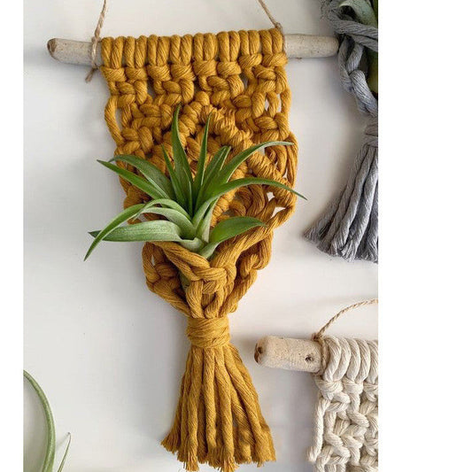 Hanging Macrame Plant Hanger